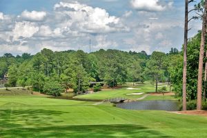 CC Of NC (Dogwood) 11th